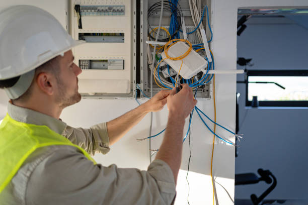 Best Electric Panel Repair  in Sparta, WI